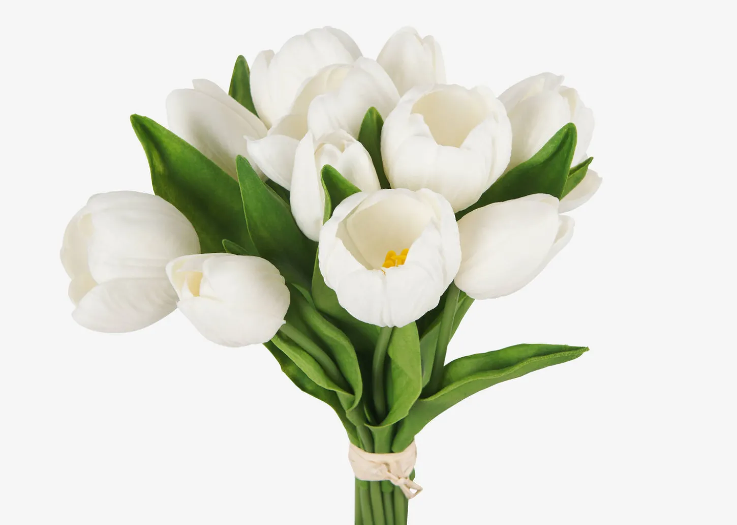 Agnes Tulip Bunch