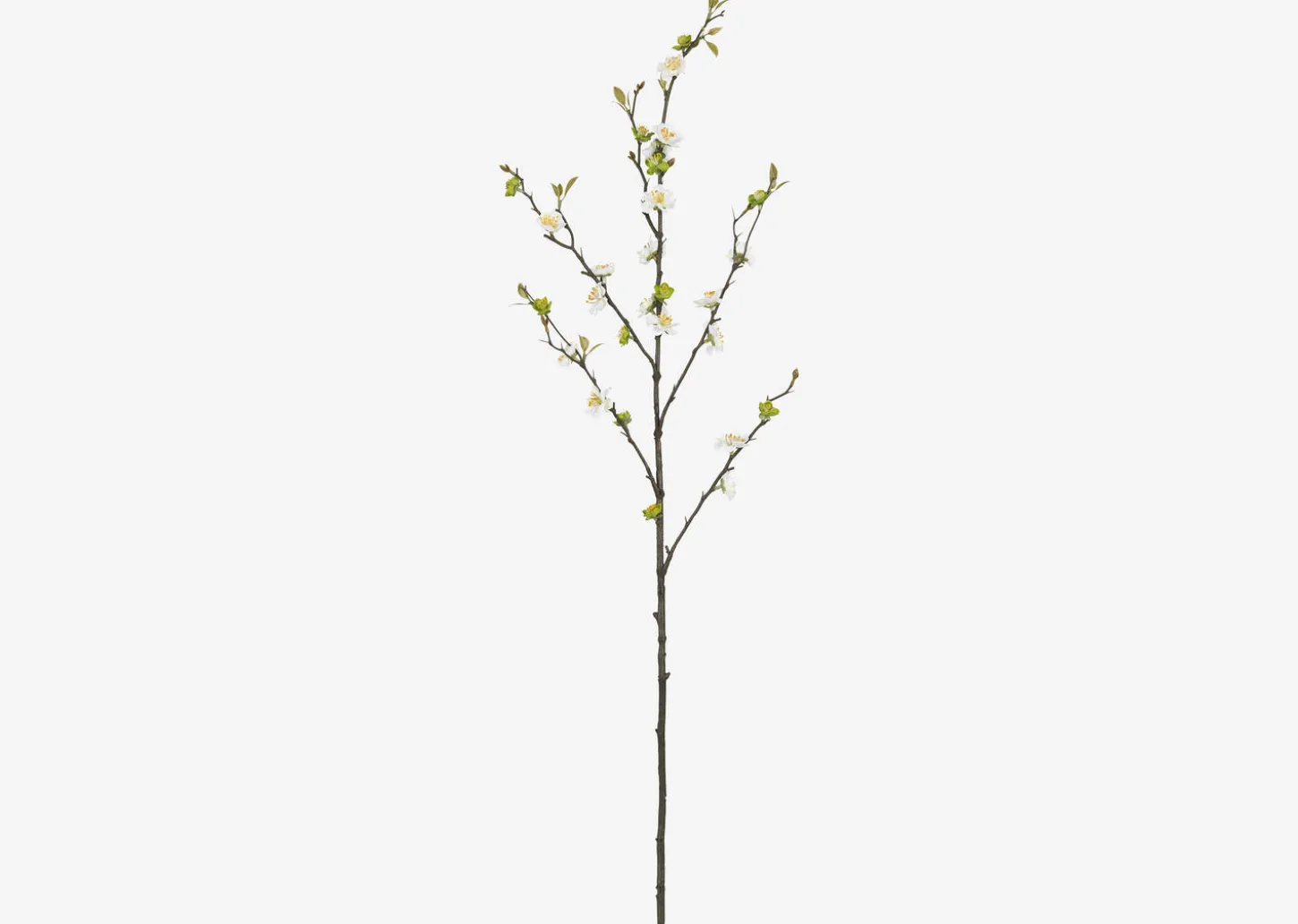 Aliana Plum Blossom Branch