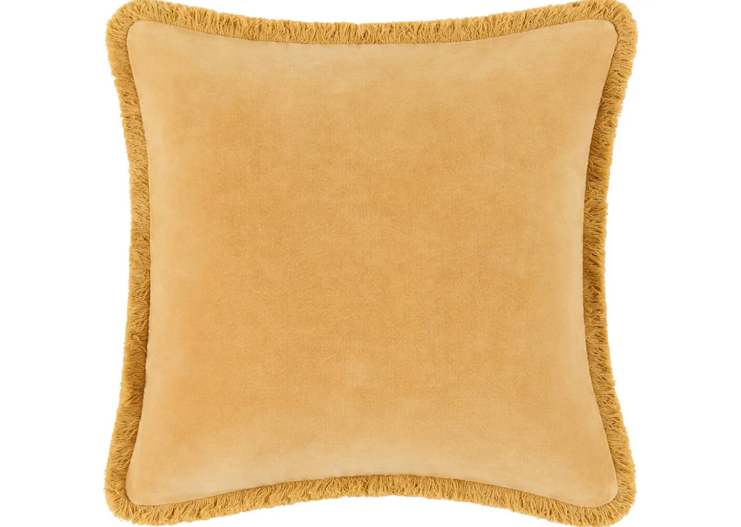 Aline Velvet Pillow