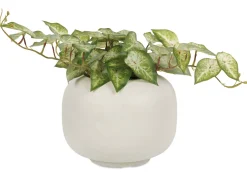 Bardot Planter