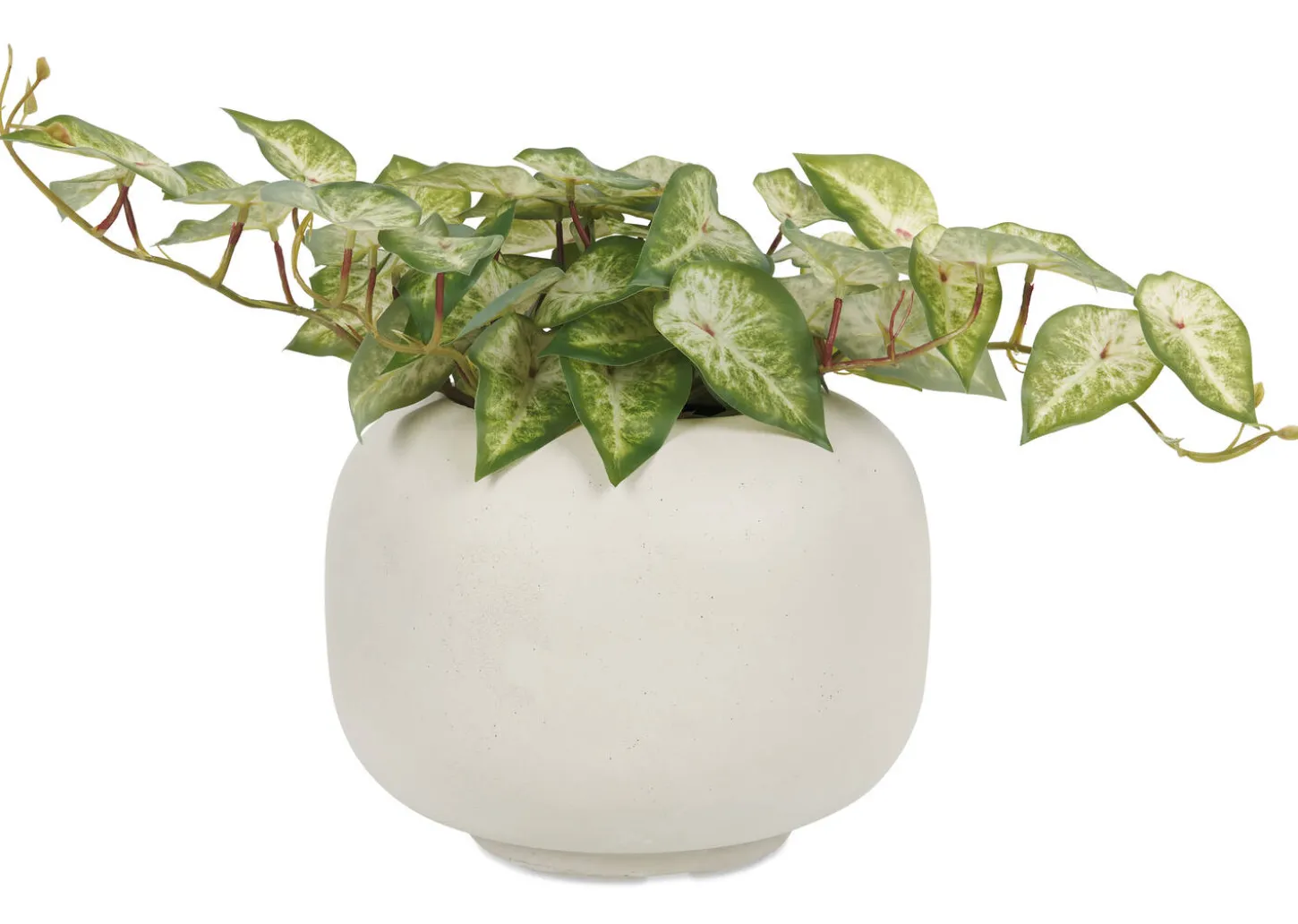 Bardot Planter