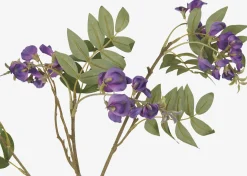 Byer Wisteria Branch