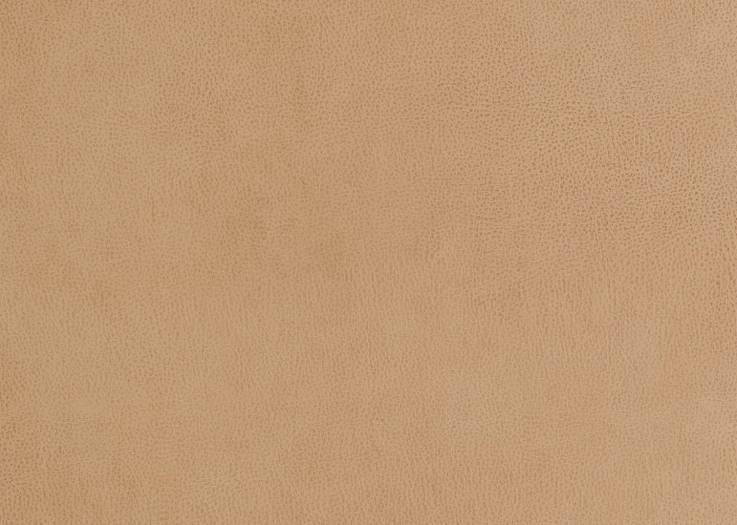 Carson Leather Sofa