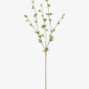 Creek Spring Leaf Branch