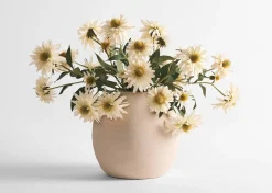 Daleyza Vase