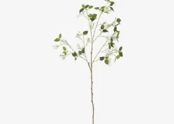 Desi Bougainvillea Branch