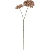 Dunne Allium Branch