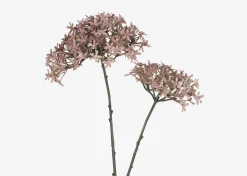 Dunne Allium Branch
