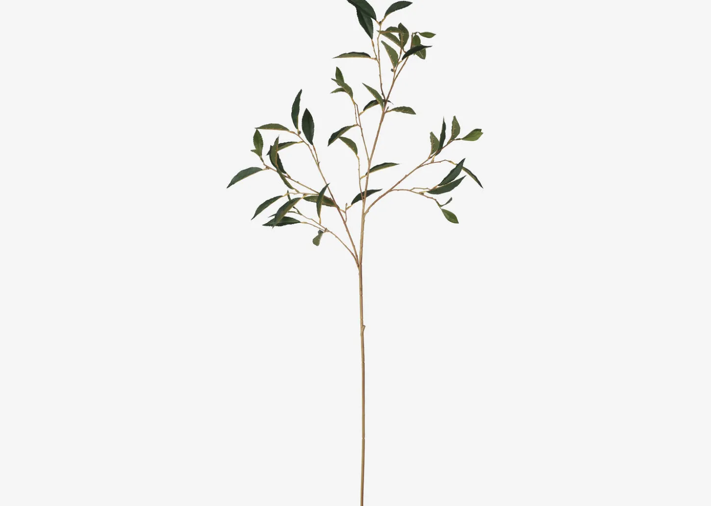 Elena Laurel Spray Branch