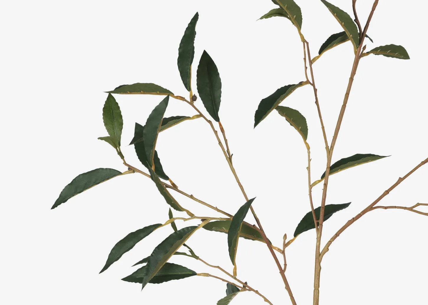 Elena Laurel Spray Branch