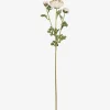 Helene Ranunculus Branch Ivory