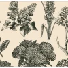 Hydrangea Placemat Natural/Black