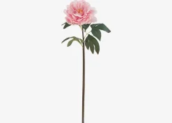Jayde Peony Stem