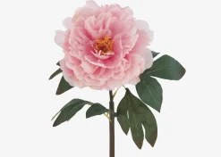 Jayde Peony Stem