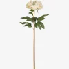 Jayde Peony Stem Ivory