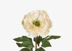 Jayde Peony Stem Ivory