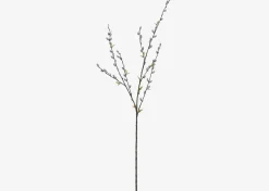 Jessa Pussy Willow Branch