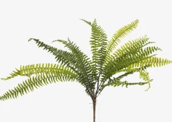 Jylan Long Fern Bunch