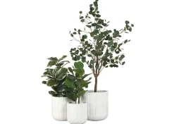 Kora Planter