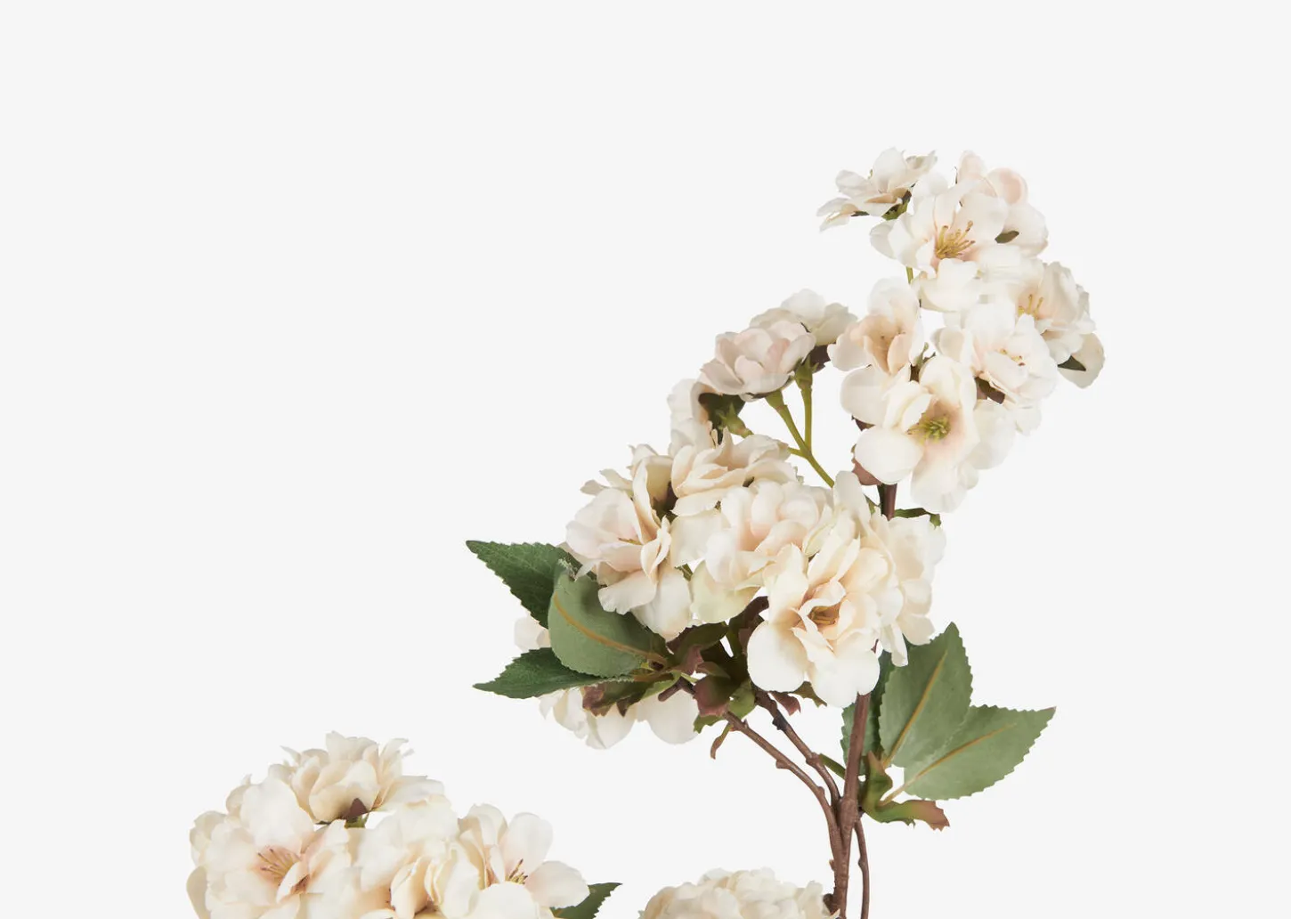 Kya Cherry Blossom Branch
