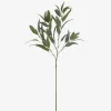 Letty Salix Willow Branch