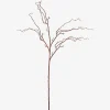 Liliana Willow Branch Stem