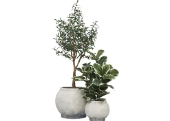 Linna Planter