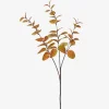 Luis Eucalyptus Stem Caramel