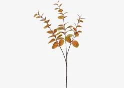 Luis Eucalyptus Stem Caramel