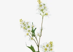 Mandi Floral Stem
