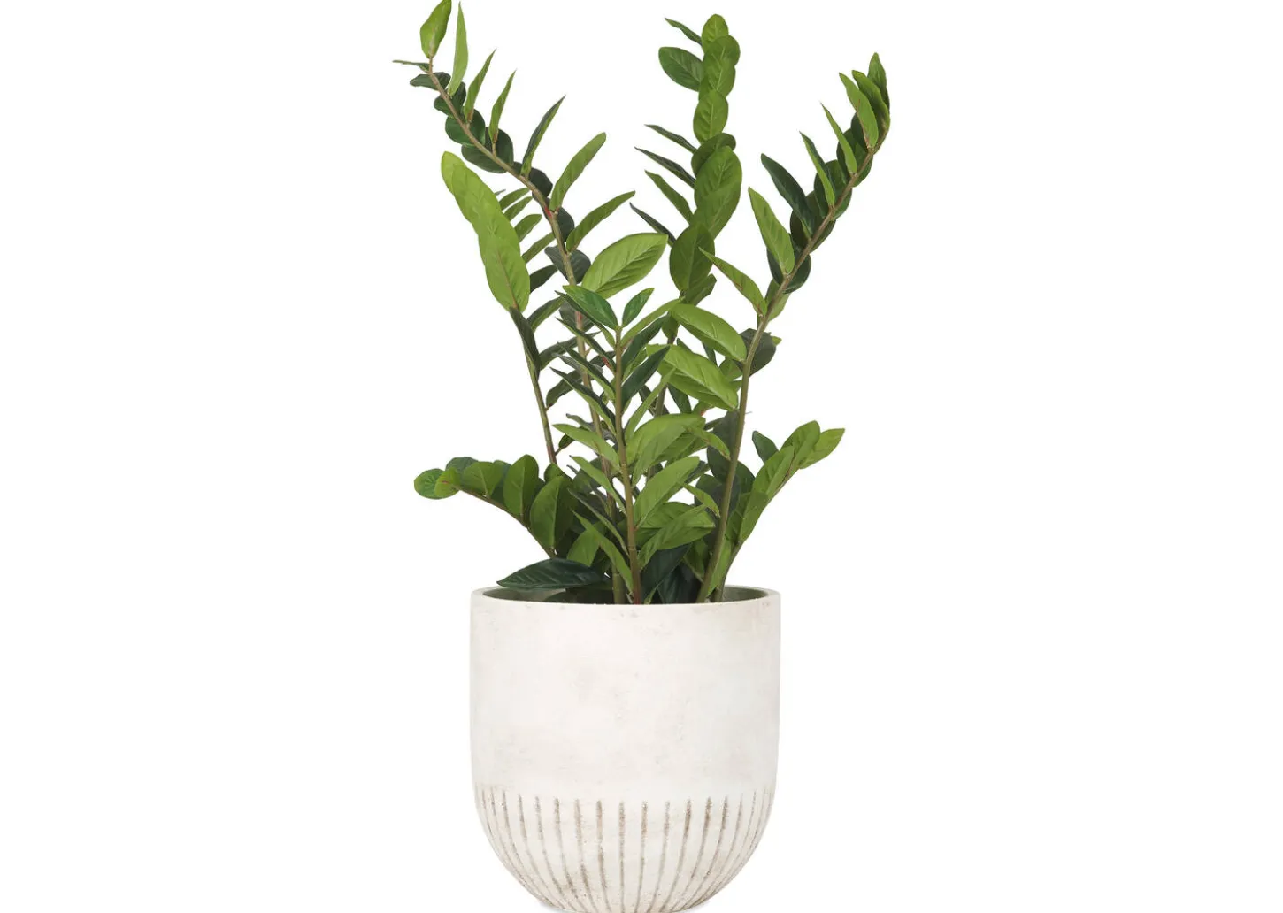 Manny Planter