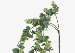Marla Hanging Eucalyptus