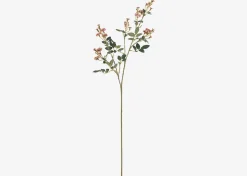 Matilda Rose Branch