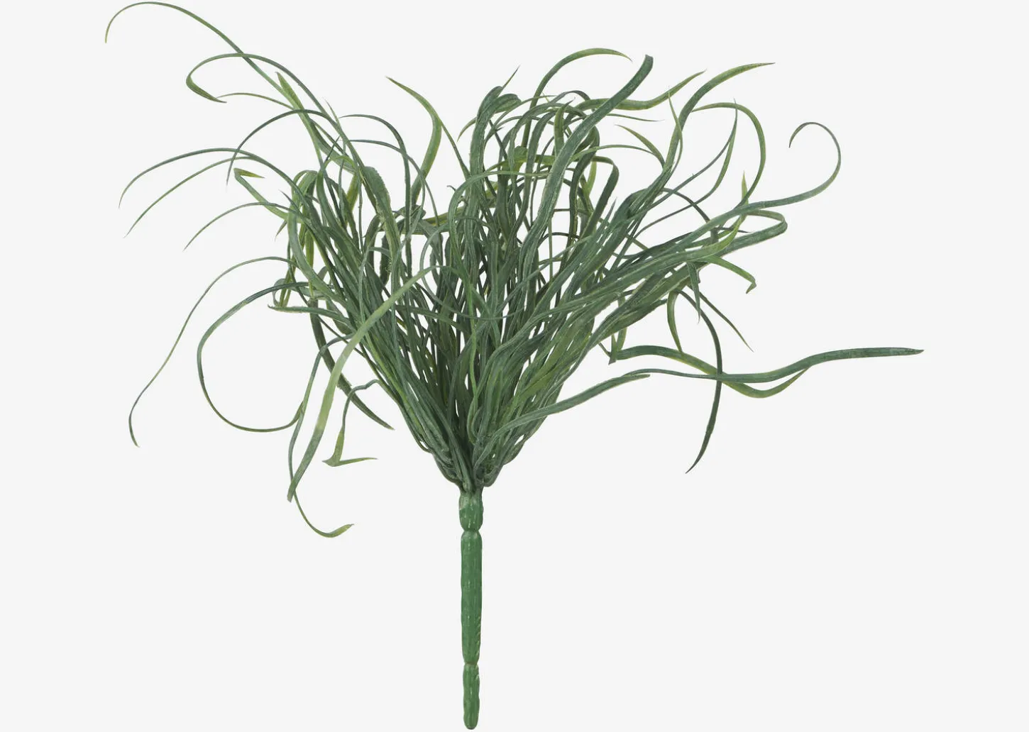 Maya Sea Grass Branch