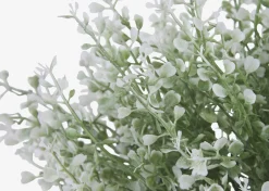 Mikayla Boxwood Stem