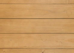 Nori Bookshelf -Arlyn Fawn