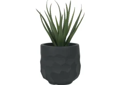 Ollie Planter
