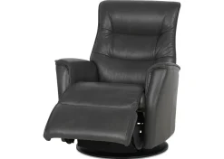 Paramount Leather Recliner