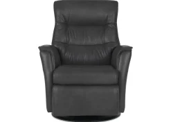Paramount Power Recliner