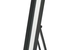 Ruben Standing Oak Mirror
