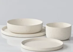 Saturna 16 piece Dish Set