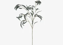 Shay Gumnut Leaf Branch