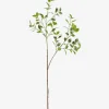 Tegan Variegated Ficus Branch