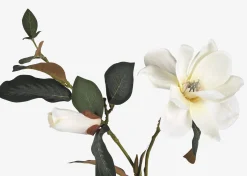 Wess Magnolia Stem