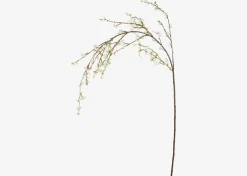 Yuri Forsythia Branch White